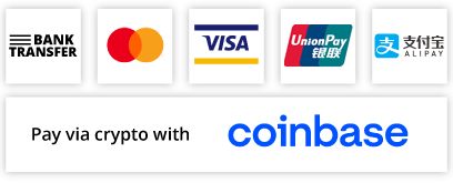 Payment logos for bank transfer, Visa, Mastercard, Coinbase, WeChat and AliPay